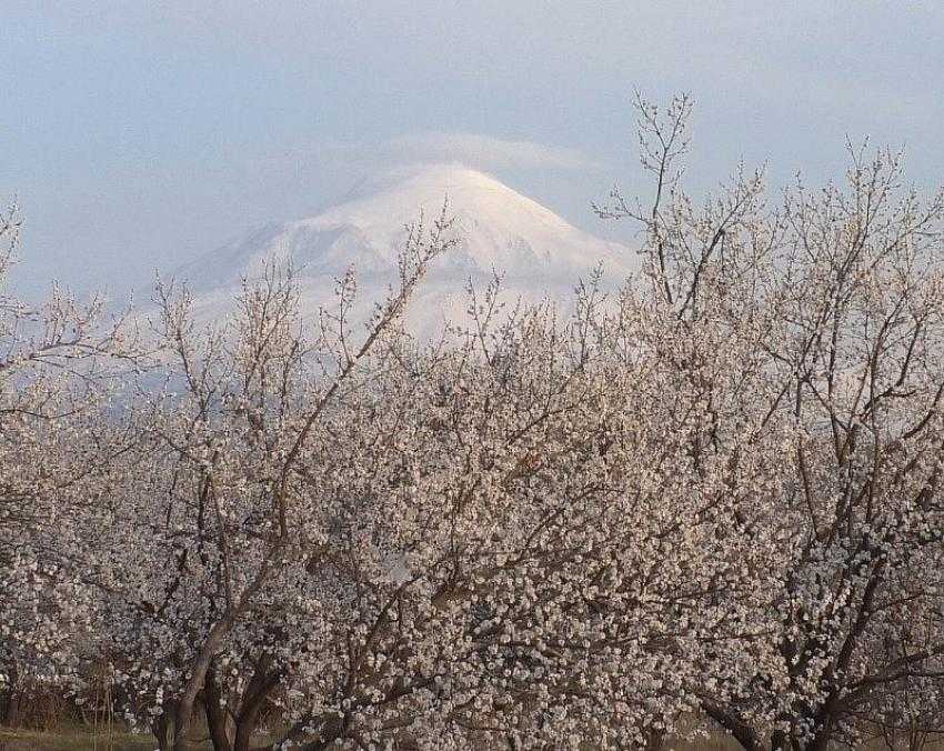 Ağrı Dağı ve kayısı bahçeleri görsel şölen oluşturdu