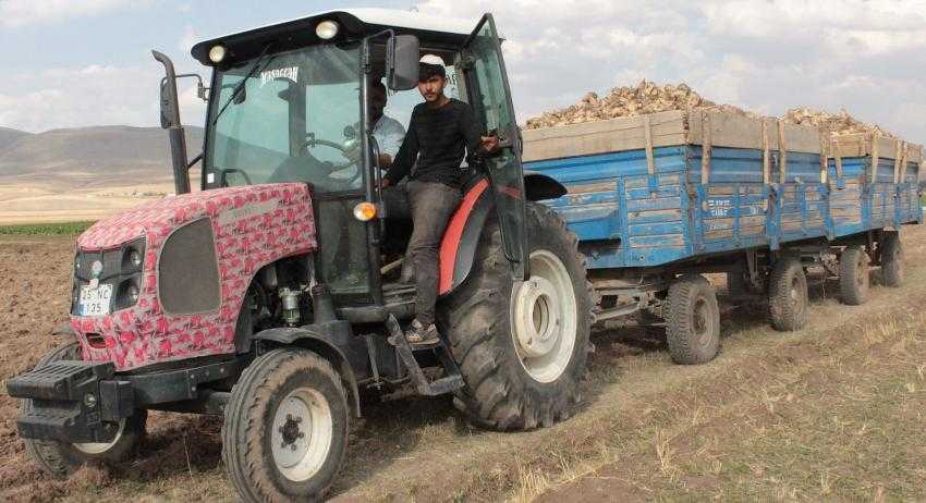 Ağrı'da şeker pancarı hasadı sürüyor