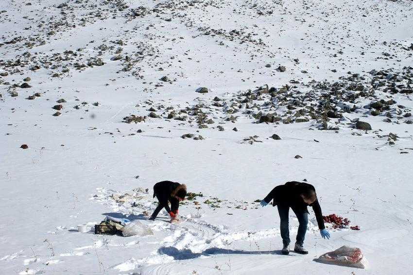 Av ve yaban hayvanları için doğaya yem bırakıldı