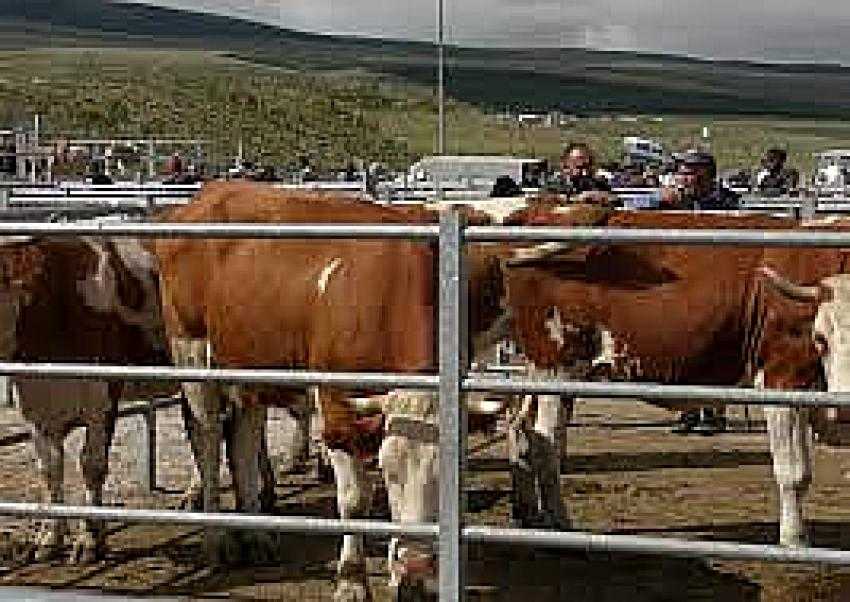 Bayram Öncesi Durgunluk