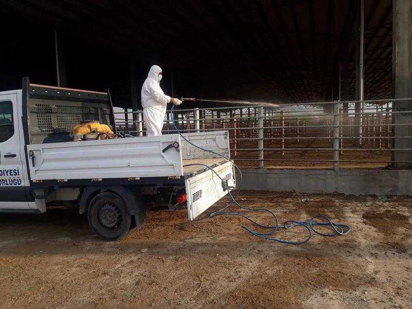 Canlı Hayvan Pazarında temizlik ve dezenfektan çalışmaları devam ediyor