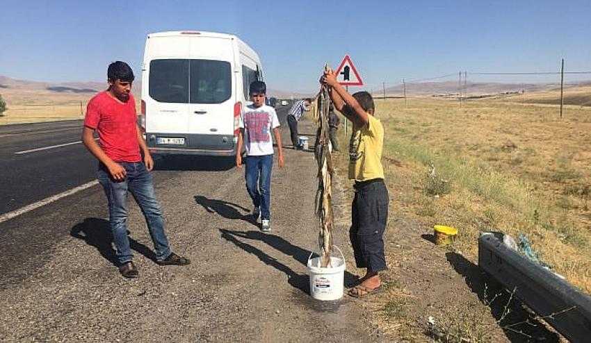Derelerden Tutup, Yol Kenarında Satıyorlar