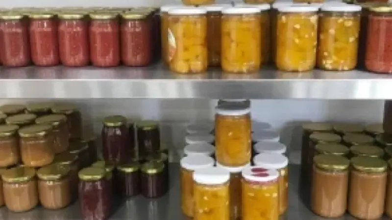 Ev tipi konserveden zehirlenen kadın yaşamını yitirdi