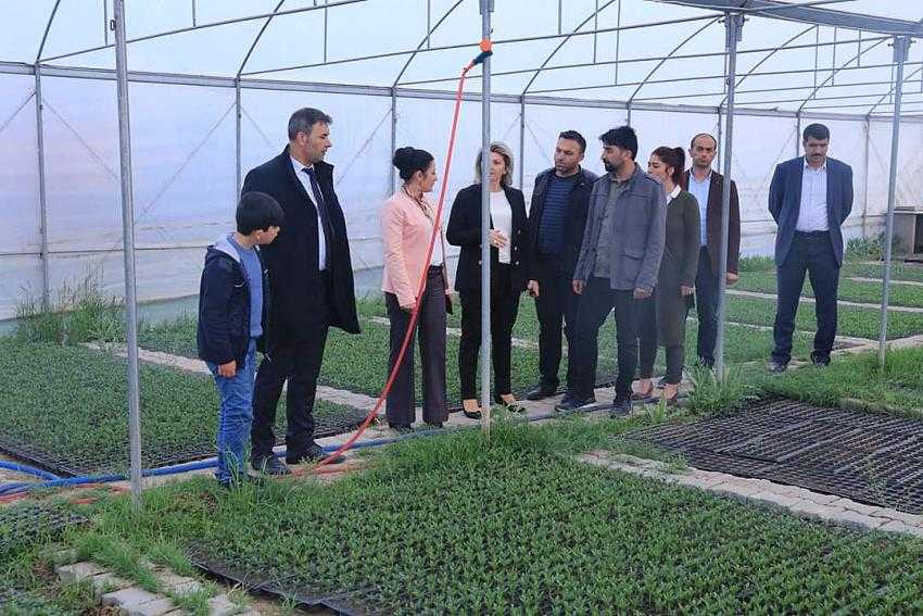 Iğdır Belediyesi Kendi Serasında 80 Bin Çiçek Fidanı Ekimi Yaptı