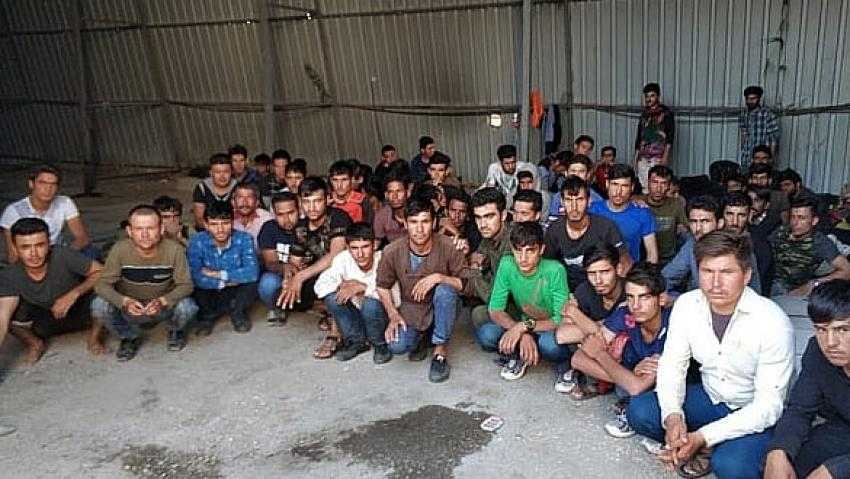 Kaçak Göçmenler Yakalandı