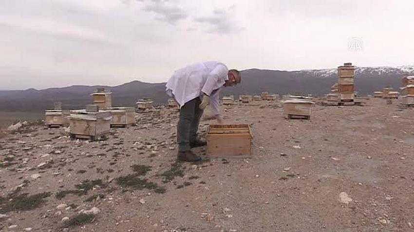 Kovanlardan Toplanan Propolisten Sabun ve Krem Elde Edildi