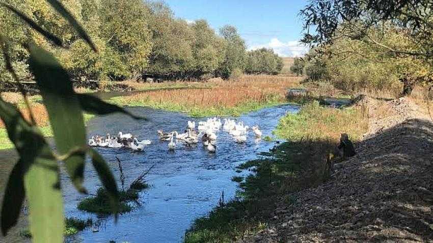 Otellerin Mutfağını...
