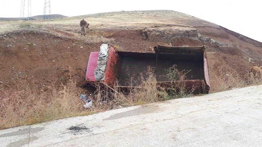 Tuzluca'da Hayvan Yüklü Kamyonet Devrildi