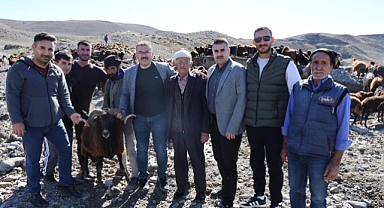 Iğdır’da Yayla Göçü Sona Erdi: Küçükbaş Hayvanlar Evlerine Dönüyor