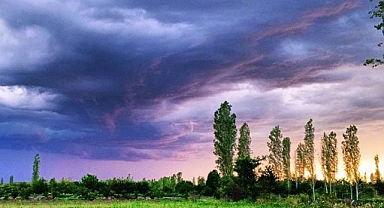 Iğdır’ın Amatör Fotoğrafçısı Asuman Taşbağ’dan Doğaya Dair Bir Kare