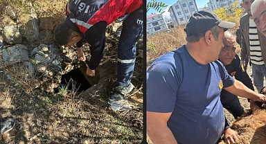 Iğdır Karaağaç Mahallesi’nde Kuyudan Koyun Kurtarıldı
