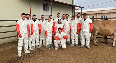 Iğdır'da Veteriner Sağlık Teknisyenlerine Özel Eğitim: Suni Tohumlama Kursu