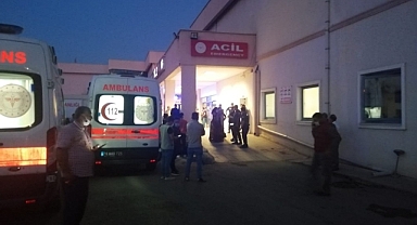 Iğdır Özdemir Köyü'nde Trafik Kazası: Bir Kişi Hafif Yaralandı