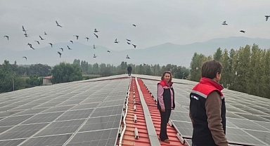 Kırsal Kalkınma Destekleriyle Ekonomik Yatırımlar İvme Kazanıyor