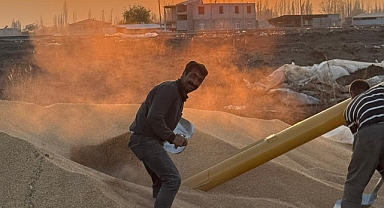  TMO’dan Güvence: “Milli Servetimizi Sağlıklı Şekilde Koruyoruz”