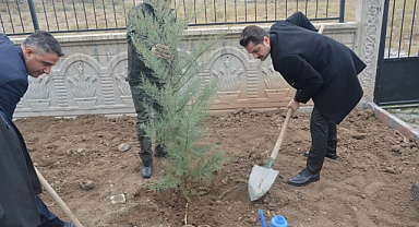 Tuzluca’da 11 Kasım Milli Ağaçlandırma Günü: Kaymakam Abdüllatif Yılmaz ve Kurum Amirleri Fidan Dikti