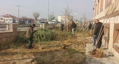 Iğdır’a Yeşil Dokunuş: Orman İşletme Müdürlüğü'nden Destek