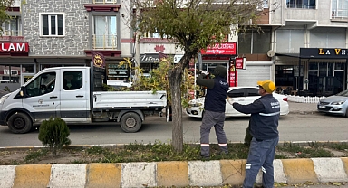 Iğdır Belediyesi'nden Kış Hazırlığı: Ağaçlarda Budama Çalışmaları Başladı