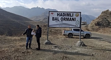 Iğdır'da Bal Ormanları Projesi Hayata Geçiyor