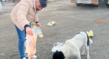Iğdır'da Duyarlı vatandaş: Sokak Hayvanlarına Umut Oldu