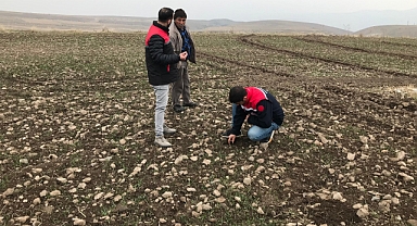 Iğdır’da Sertifikalı Buğday Ekimiyle Verimlilik Hedefleniyor