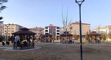 “Doğu Anadolu Kara Kışa Teslim, Iğdır’da Bahar Esintisi”
