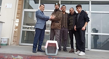 Iğdır’da Kukumav Kuşu Kurtarıldı: Doğal Ortamına Dönmeye Hazırlanıyor