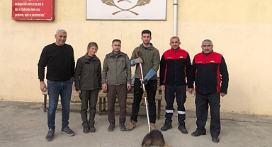 Iğdır'da Su Maymunu Kurtarılarak Doğaya Salındı