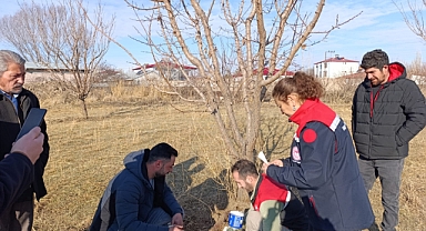 Iğdır'da Tarla Faresi ile Mücadele Seferberliği Başlatıldı