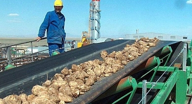 Iğdır'daki Şeker Fabrikası Taşınmazı 17,75 Milyon TL'ye Satıldı