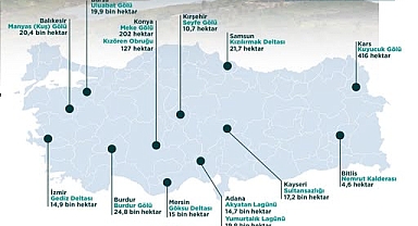 2 Şubat Dünya Sulak Alanlar Günü: Doğanın Can Damarlarını Korumaya Devam Ediyoruz