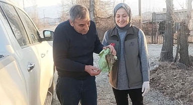 Duyarlı Vatandaşlar Kurtardı: Çulluk Kuşu Doğaya Dönmeye Hazırlanıyor