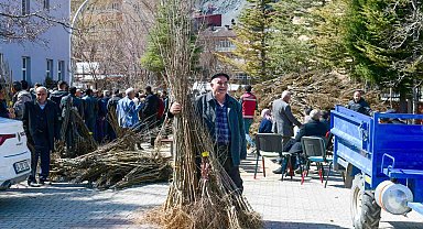 Çatak'ta çiftçilere yüzde 80 hibe ile fidan dağıtımı yapıldı
