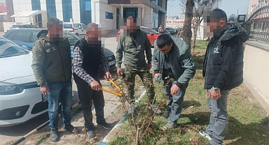 Denetimli Serbestlik Kursiyerlerine Meyve Ağaçlarında Budama Eğitimi Başladı