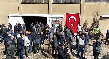 Erciş'te meyve fidanı dağıtıldı