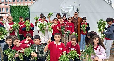 Erzincan'da öğrenciler sebze hasadına başladı