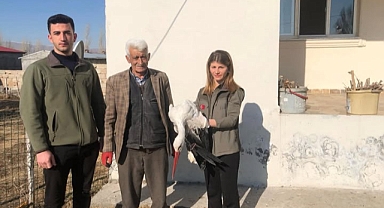 Halfeli’de Yaralı Leylek Koruma Altına Alındı