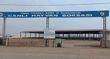 Iğdır Hayvan Pazarı 10 Mart’ta Yeniden Açılıyor