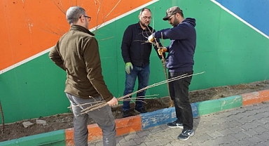 İlahiyat Fakültesi Akademisyenlerinden Kampüste Doğaya Destek: Yabani Ağaçlar Aşılanıyor