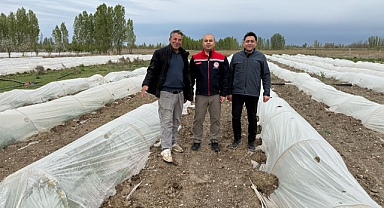 Iğdır’da Don Zararına Karşı Yerinde İnceleme: İl Müdürü Tingiş ve TARSİM Heyeti Sahada