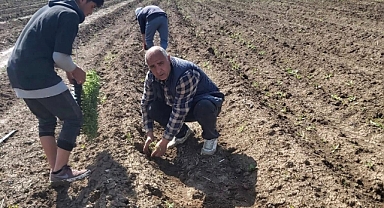 Iğdır’da Kadın Üreticiler Üretime Güç Katıyor