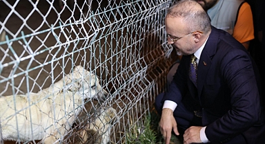 Iğdır’da Sokak Hayvanları İçin Önemli Adım: Hayvanları Koruma Kurulu Toplandı