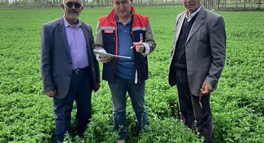 Iğdır’da Yem Bitkilerine Yakın Takip: Tarımsal Desteklerde Etkinlik Artıyor