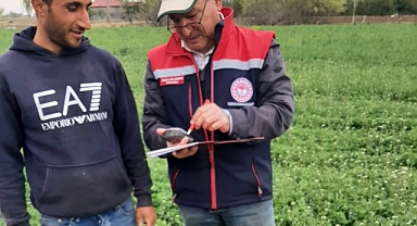 Iğdır’da Yem Bitkisi Üretimine Yakın Takip: Yerinde Kontroller Sürüyor
