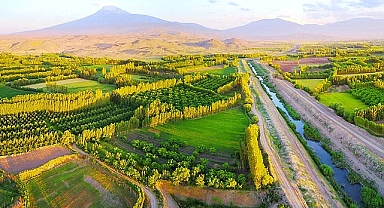 Iğdır’ın Gözbebeği: İrem Bağları Bahar Renklerinde