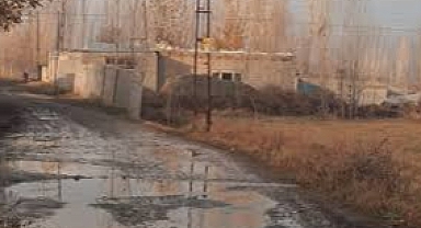 Söğütlü Mahallesi'ne İhmal: Yağmurda Çamur, Güneşte Toz, Yetkililer Sadece Seyrediyor!