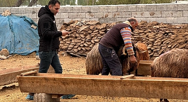 Uzman Eller Projesiyle Desteklenen Aralıklı Çiftçiler Yerinde Ziyaret Edildi