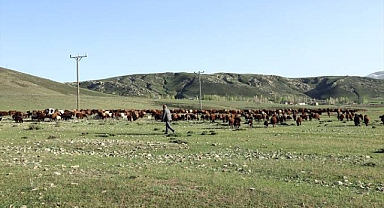 Yaylacılar Yola Çıktı: Iğdır’ın Dağları Hayat Buluyor