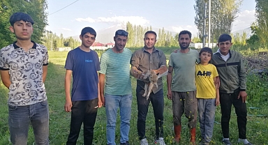 Duyarlı Vatandaşlar Sayesinde Kurtarıldı: Yardıma Muhtaç Tilki Doğaya Döndürülüyor