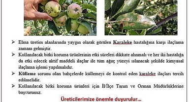 Elma Bahçelerinde Karaleke Alarmı: Akarsu İlaçlama Zamanı Geldi